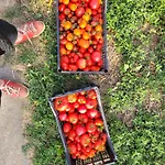 Frühstückspension La Maison Du Grand Mas Mouret