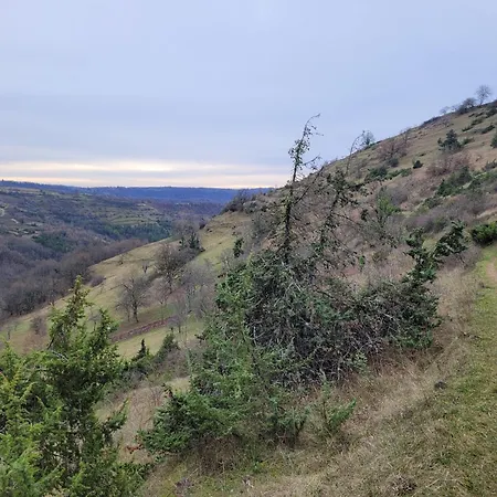 La Maison Du Grand Mas Couette-café *