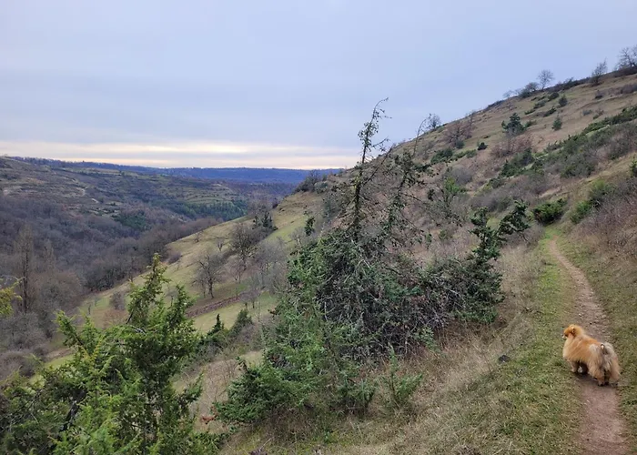 La Maison Du Grand Mas Couette-café *